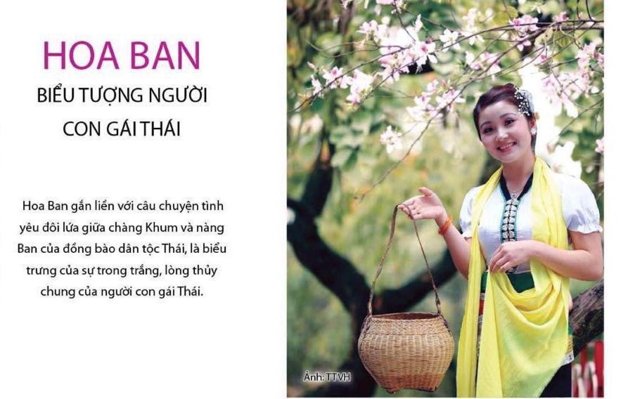 Agri Hotel Diện Biên Phủ Buitenkant foto